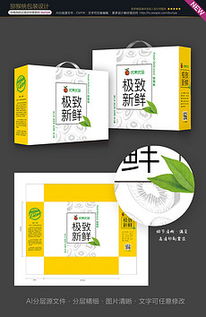 精品平面设计 从素材图库到广告制作的创意之旅